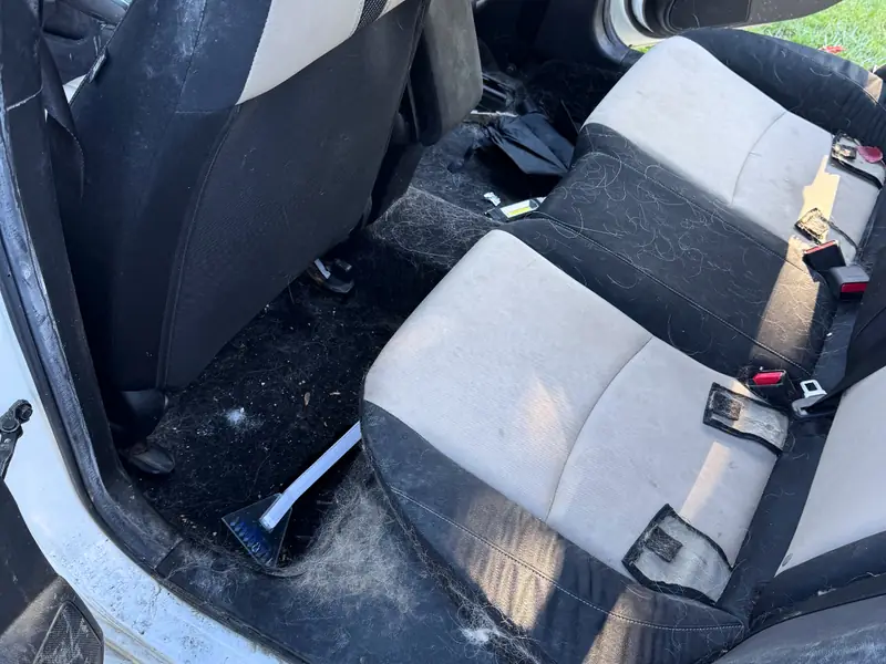 Pet Hair & Stain Removal - Before